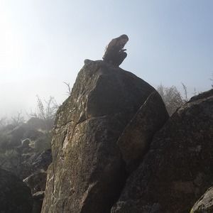 Meet your Posher, Marion